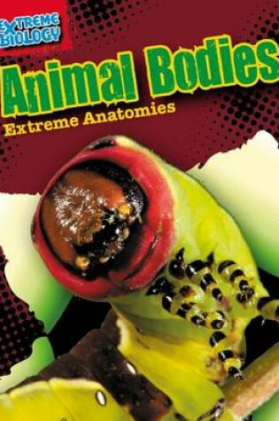 Cover of Animal Bodies: Extreme Anatomies