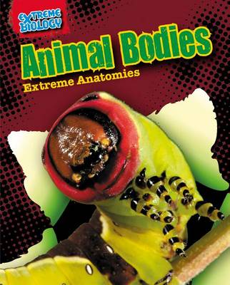 Book cover for Animal Bodies: Extreme Anatomies