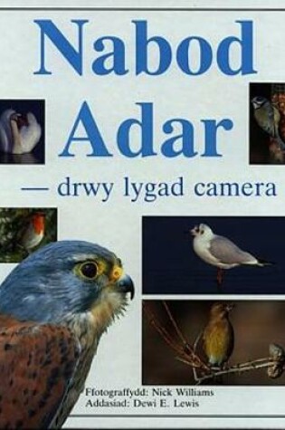 Cover of Nabod Adar - Drwy Lygad Camera