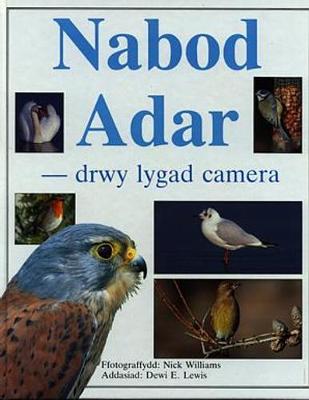 Book cover for Nabod Adar - Drwy Lygad Camera