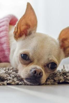 Book cover for Chihuahua Dog in a Pink Sweater Journal