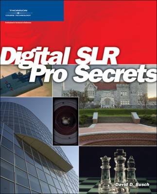 Book cover for Digital SLR Pro Secrets