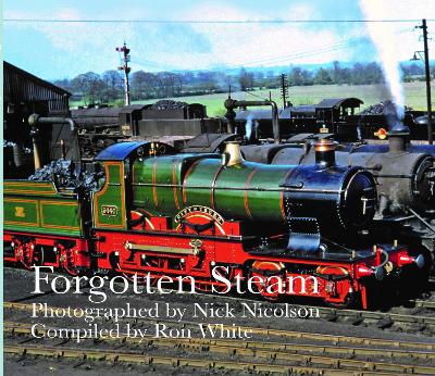 Book cover for Forgotten Steam