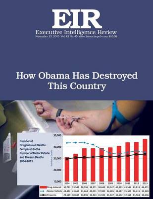 Book cover for How Obama Has Destroyed This Country
