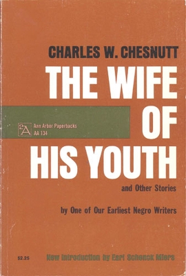 Book cover for The Wife of His Youth and Other Stories