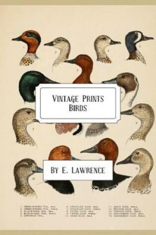 Cover of Vintage Prints