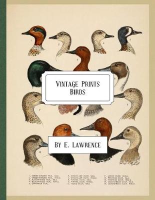 Book cover for Vintage Prints