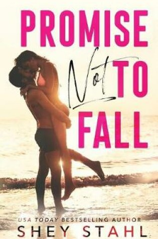 Cover of Promise Not to Fall