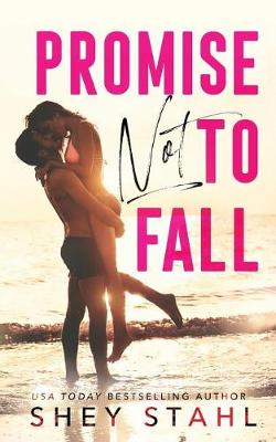 Book cover for Promise Not to Fall
