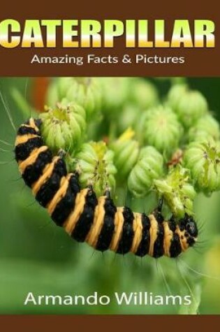 Cover of Caterpillar