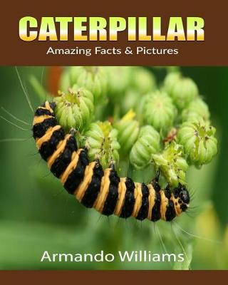 Book cover for Caterpillar