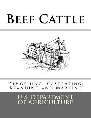 Cover of Beef Cattle
