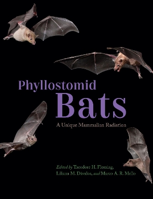 Book cover for Phyllostomid Bats