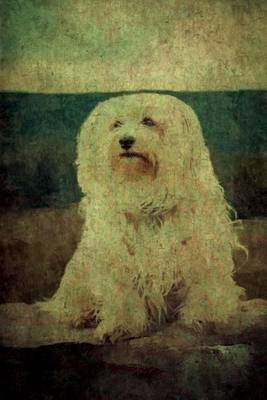 Cover of Havanese