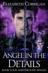 Book cover for Angel in the Details