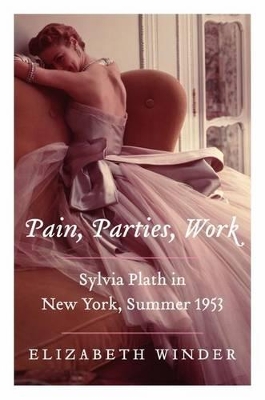Book cover for Pain, Parties, Work