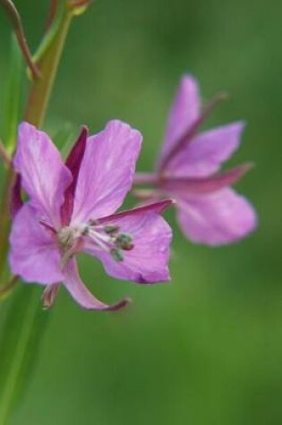 Cover of Pinkish Purple Wildflower - Blank Notebook