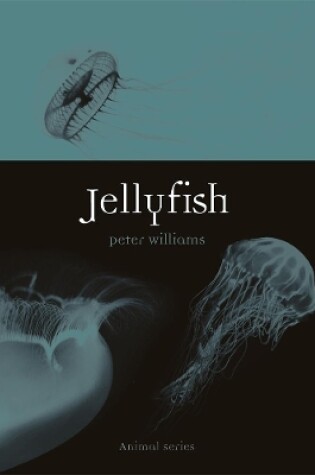 Cover of Jellyfish