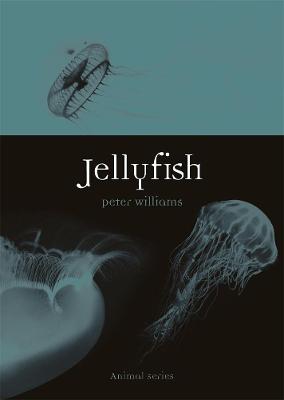 Book cover for Jellyfish