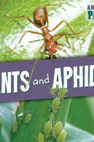 Cover of Ants and Aphids