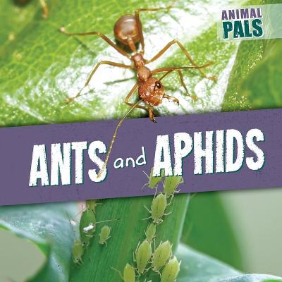 Book cover for Ants and Aphids