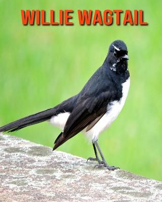 Book cover for Willie Wagtail