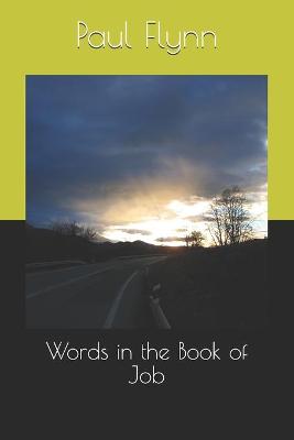 Book cover for Words in the Book of Job