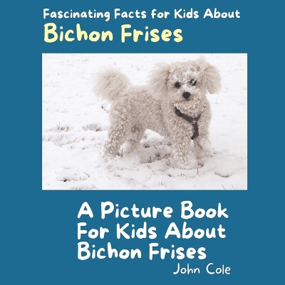 Book cover for A Picture Book for Kids About Bichon Frises