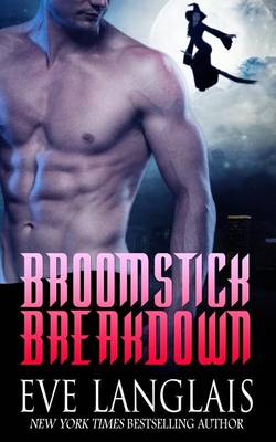 Book cover for Broomstick Breakdown