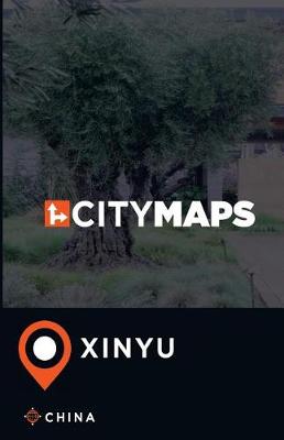 Book cover for City Maps Xinyu China