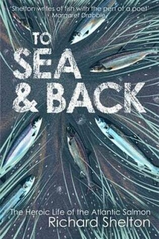 Cover of To Sea and Back