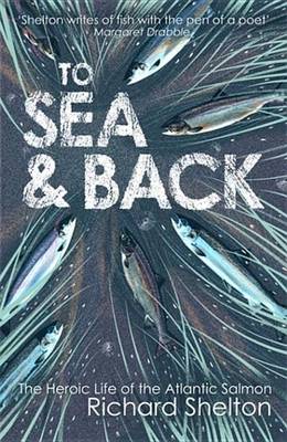 Book cover for To Sea and Back