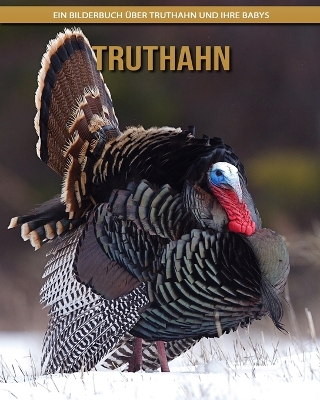 Book cover for Truthahn