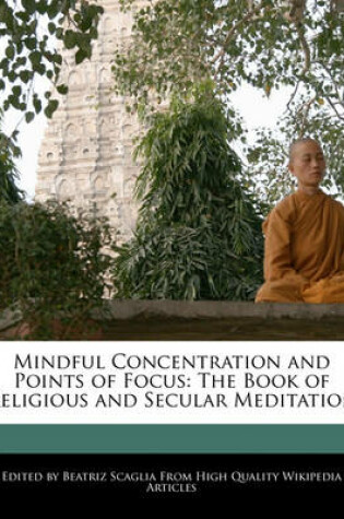 Cover of Mindful Concentration and Points of Focus