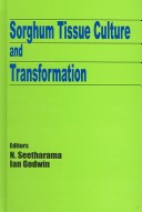 Book cover for Sorghum Tissue Culture and Transformation
