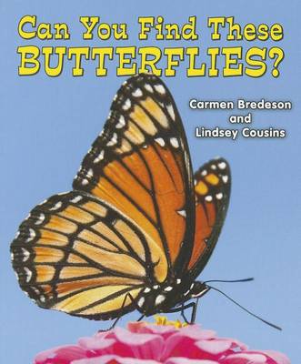 Cover of Can You Find These Butterflies?