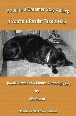 Book cover for If You're a Dreamer Stay Asleep If You're a Realist Take a Nap