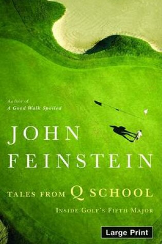 Cover of Tales from Q School