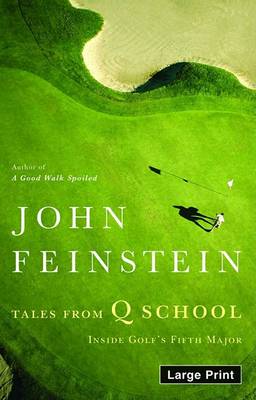 Book cover for Tales from Q School