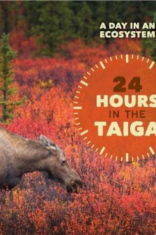 Cover of 24 Hours in the Taiga