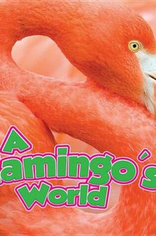 Cover of A Flamingo's World