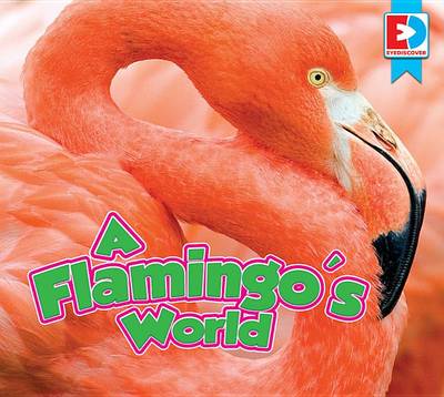 Book cover for A Flamingo's World