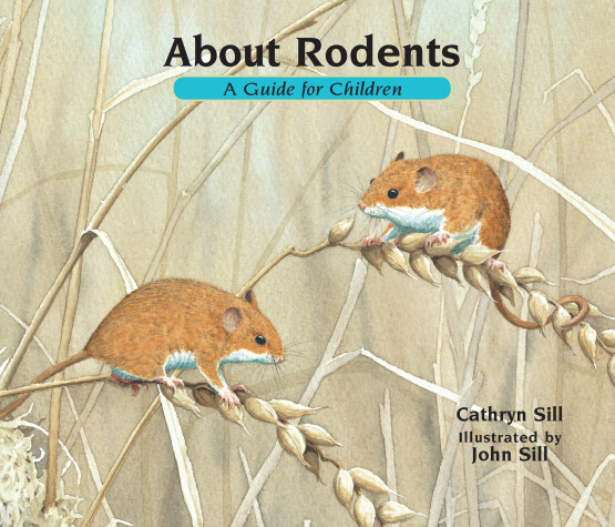 Book cover for About Rodents