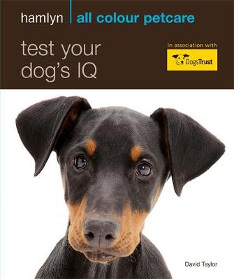 Book cover for Test Your Dog's IQ