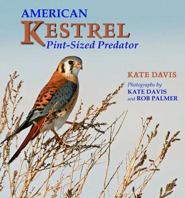 Book cover for American Kestrel