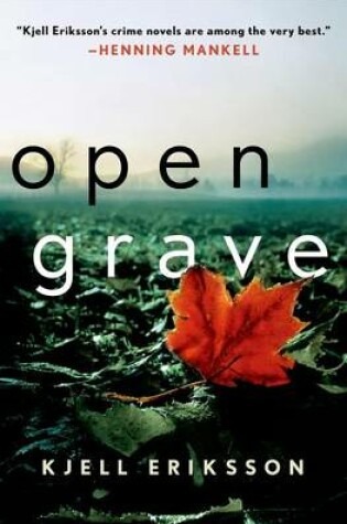 Cover of Open Grave