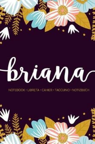 Cover of Briana