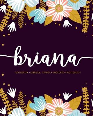 Book cover for Briana