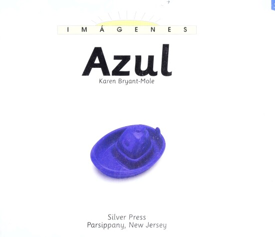 Cover of Azul