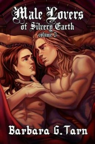 Cover of Male Lovers of Silvery Earth Volume 3